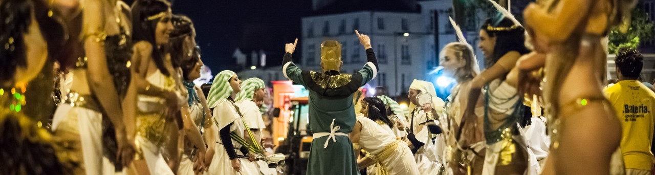 Carnaval Nantes 2015 - Source : Clément Poncin